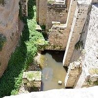 カット