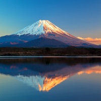 カット